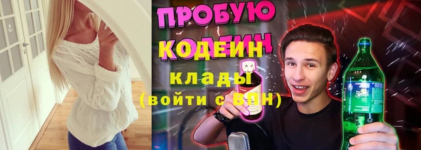 гашик Осташков