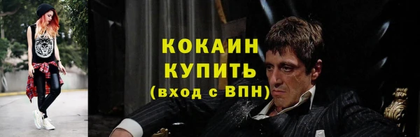 гашик Осташков
