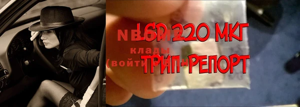 гашик Осташков