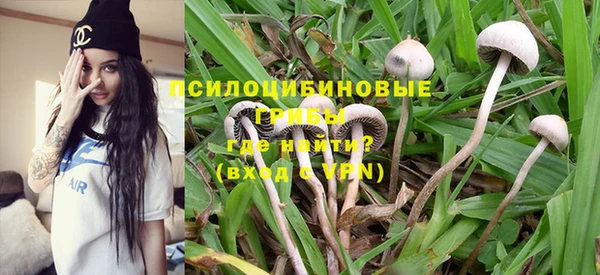 гидропоника Осинники
