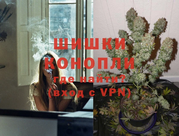 гашик Осташков