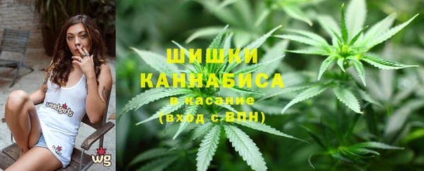 гидропоника Осинники