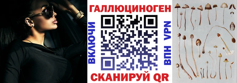 что такое   Баймак  Псилоцибиновые грибы Psilocybine cubensis 